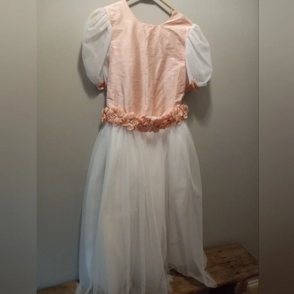 Posies Of Maine "Tinker Bell"Girls Dress Pink White Size 16. NWT - Picture 1 of 11